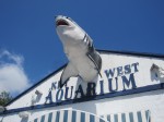 Key West Aquarium