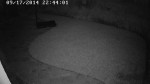 Backyard, night