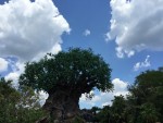 beautiful day at Animal Kingdom