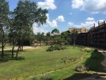 view of the savannah from our room