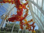 Chihuly glass