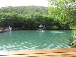 dolphin encounter in Tortola