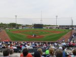 view from our seats behind home plate