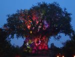Tree of Life at night