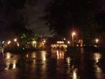 empty and wet at Animal Kingdom