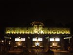 nighttime at Animal Kingdom