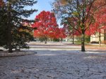 fall colors and snow on campus