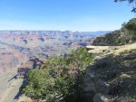 the Grand Canyon