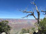 the Grand Canyon