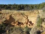 cliff dwellings in Mesa Verde