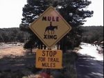 watch our for the trail mules!