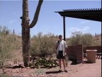 those saguaro cacti are pretty tall