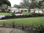 piles of debris on my lawn