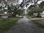 view of my street