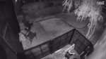 back yard cam (night)