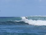 surfer at Sunset Beach