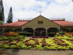 Dole Plantation