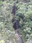 Manoa Falls