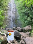 Manoa Falls