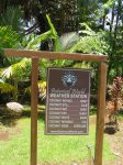 Botanical World weather station
