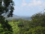 on the Moalepe Trail