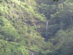 waterfall viewed from the trail