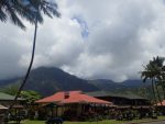 Hanalei