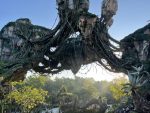 good morning from Pandora