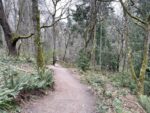 Discovery Park trail