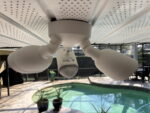 floodlight cam (rear)